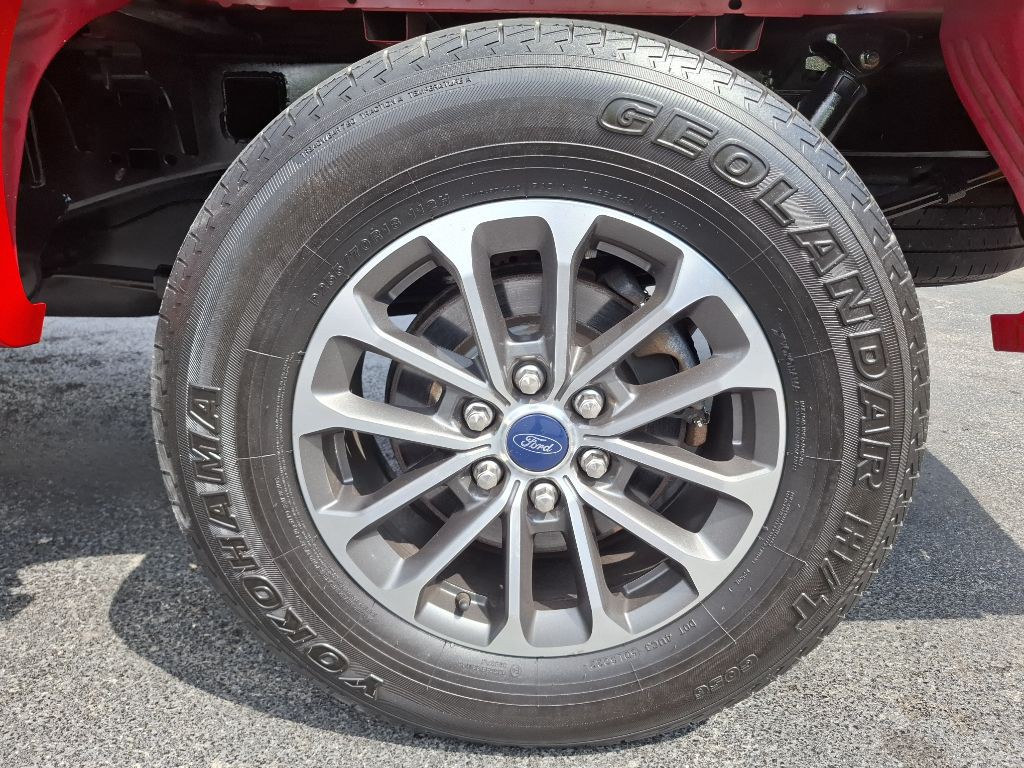 2019 Ford F-150 Image 2