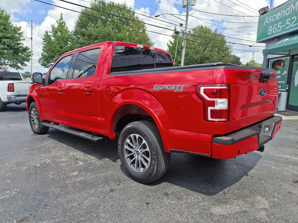 2019 Ford F-150 Image 5