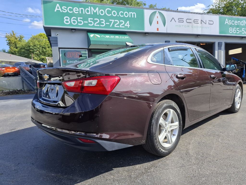 2020 Chevrolet Malibu Image 5