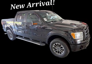 Image for 2010 Ford F-150 FX4 ID: 7680358