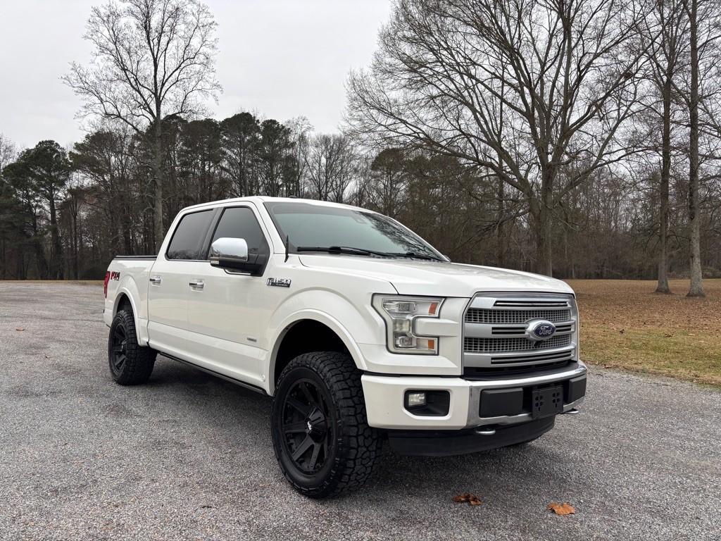 2016 Ford F-150 Image 1