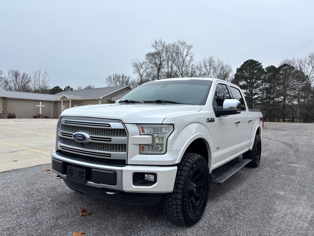 2016 Ford F-150 Image 3