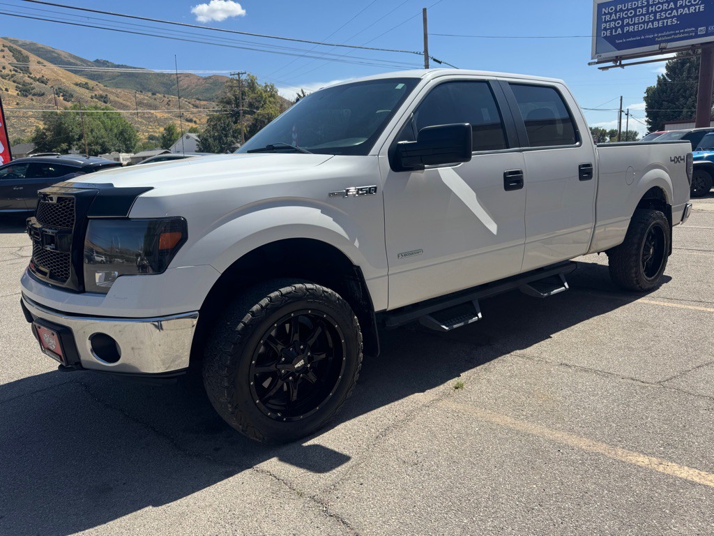 2014 Ford F-150 Image 3