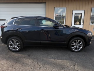 Image for 2020 Mazda CX-3 Preferred ID: 7610004