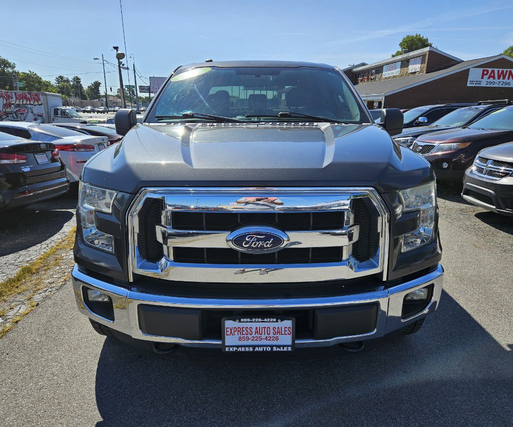 2016 Ford F-150 Image 2
