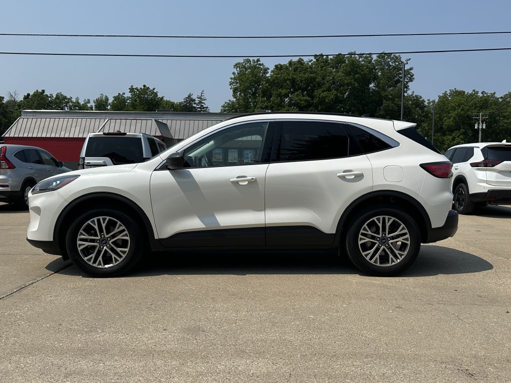 2021 Ford Escape Image 5