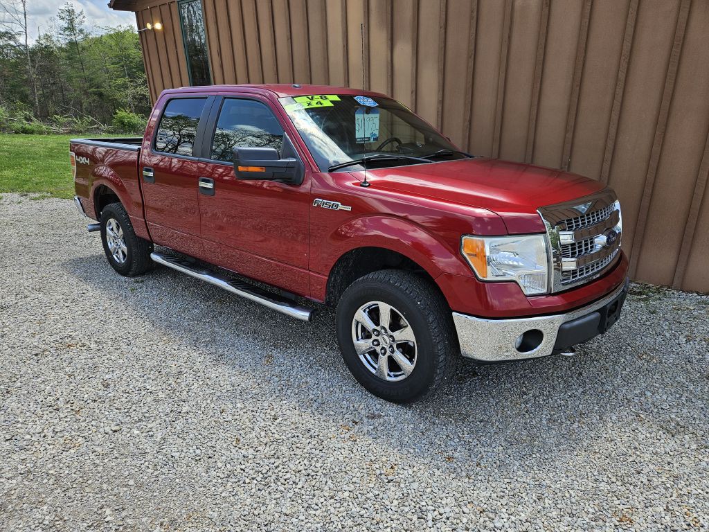 2013 Ford F-150 Image 1