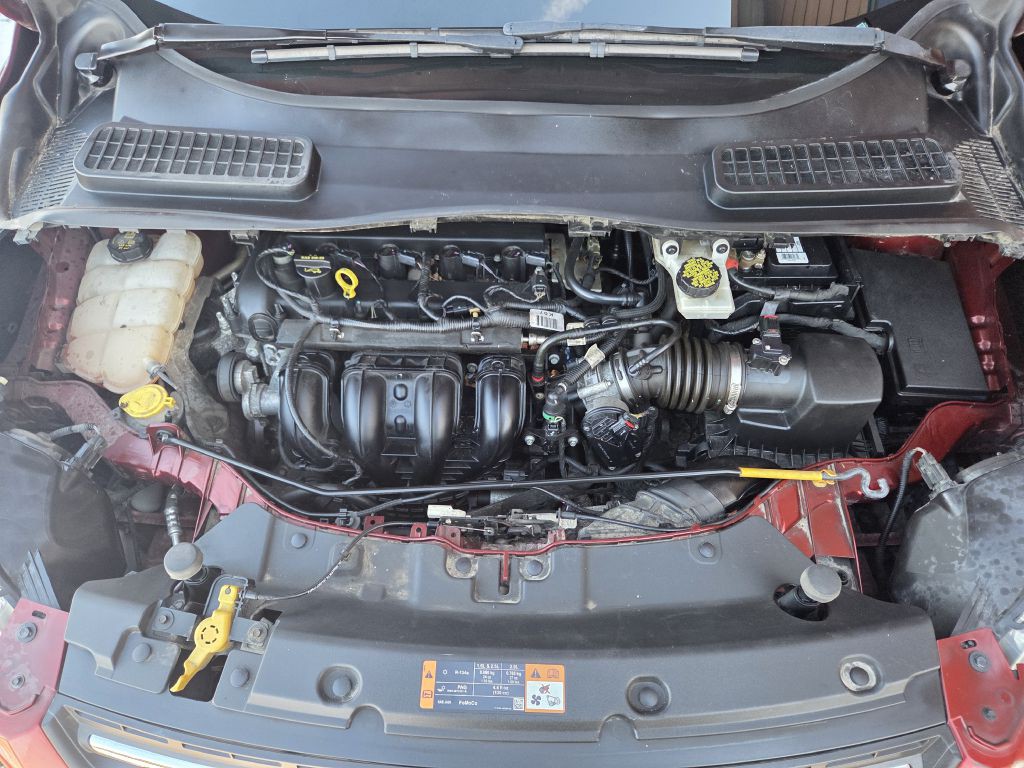 2016 Ford Escape Image 7