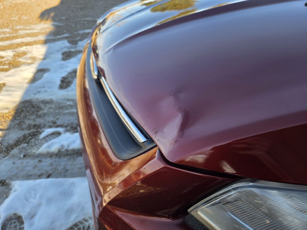 2016 Ford Escape Image 8