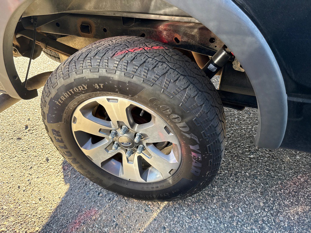 2012 Ford F-150 Image 11