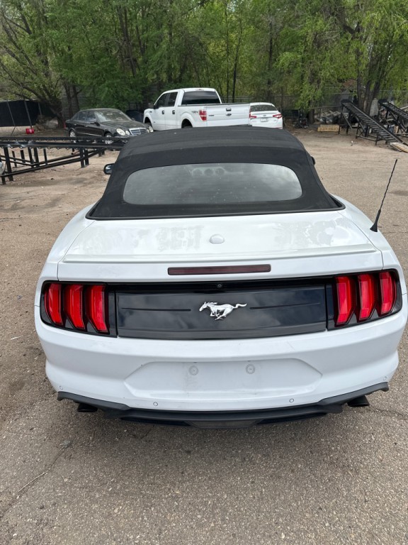 2020 Ford Mustang Image 5