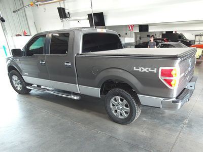 2013 Ford F-150 Image 2