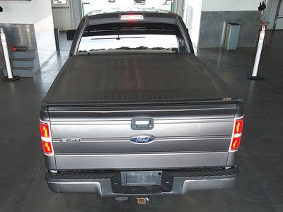 2013 Ford F-150 Image 3