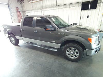 2013 Ford F-150 Image 5