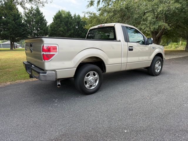 2010 Ford F-150 Image 5