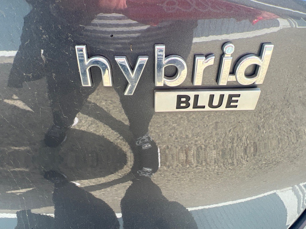 2019 Hyundai Ioniq Image 13