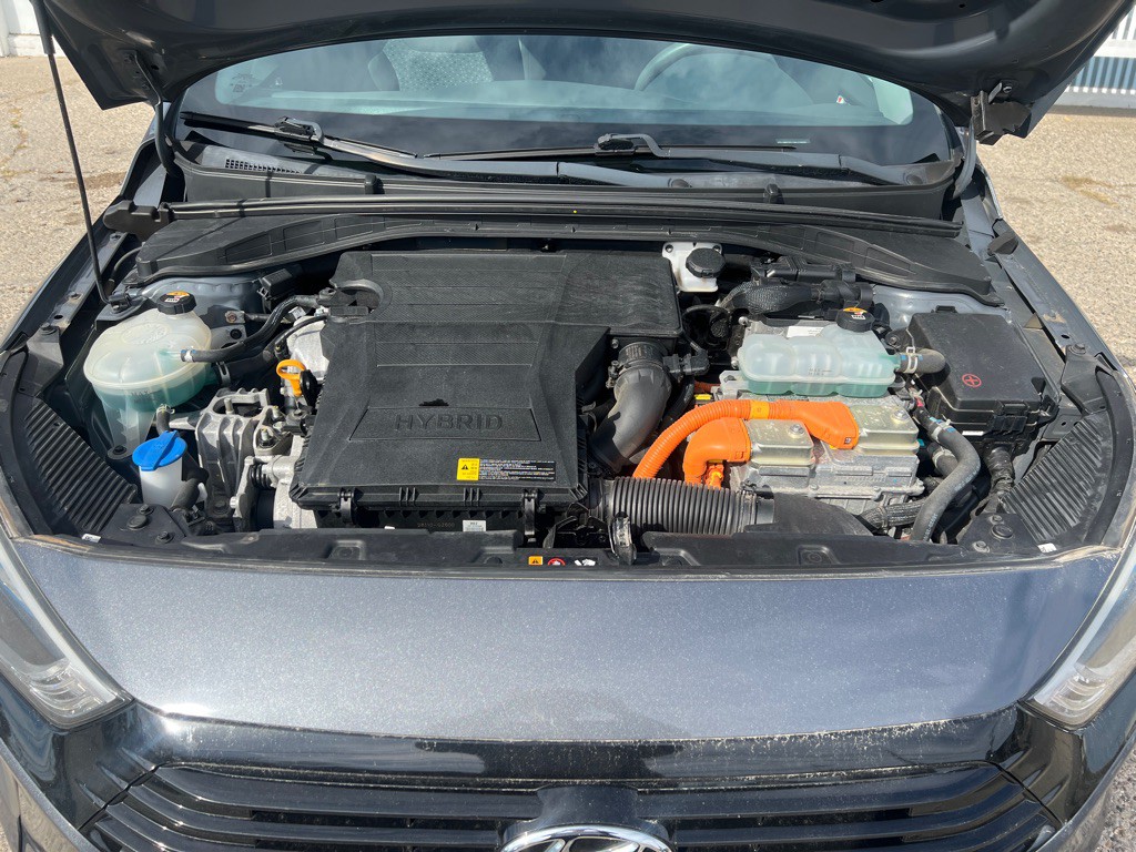 2019 Hyundai Ioniq Image 23