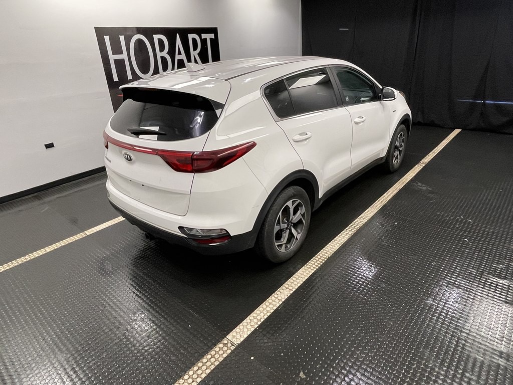 2020 Kia Sportage Image 6