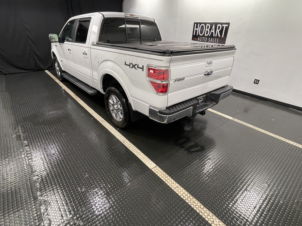 2014 Ford F-150 Image 4