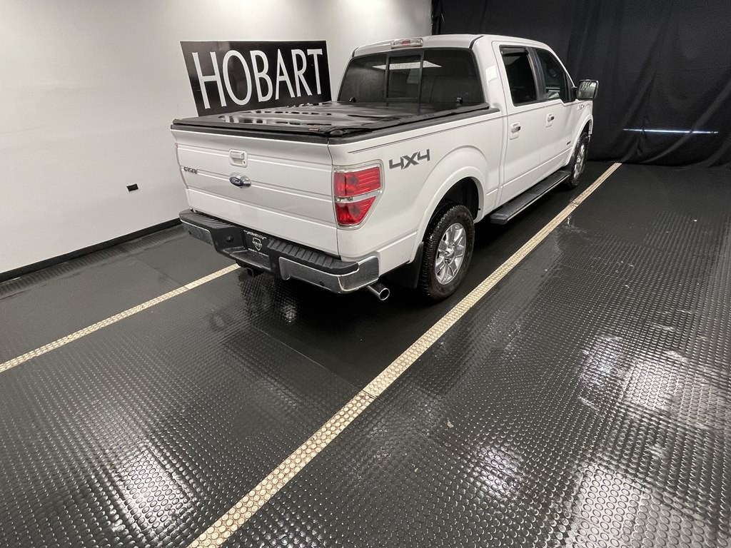 2014 Ford F-150 Image 6