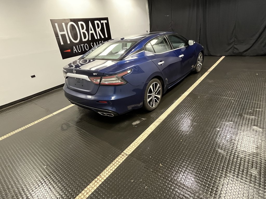 2023 Nissan Maxima Image 6