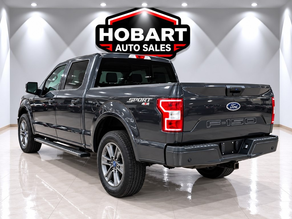 2020 Ford F-150 Image 4
