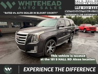 Image for 2016 Cadillac Escalade Luxury ID: 7399145
