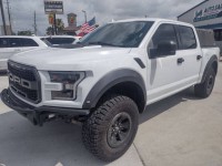 Image for 2019 Ford F-150 Raptor ID: 6677025