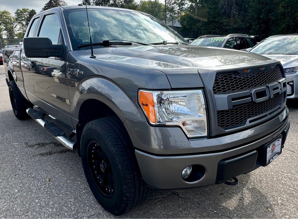 2013 Ford F-150 Image 3