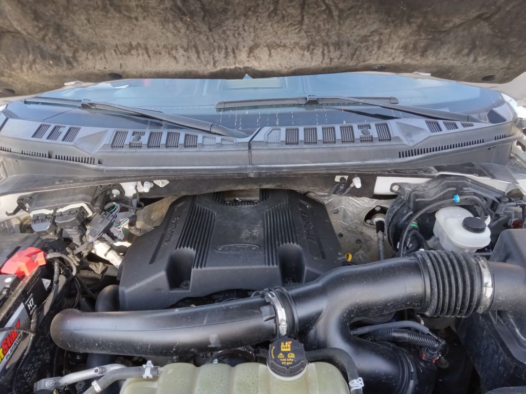 2019 Ford F-150 Image 35