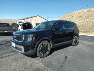 Image for 2023 Kia Telluride EX ID: 7279203