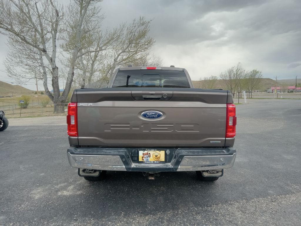 2023 Ford F-150 Image 4