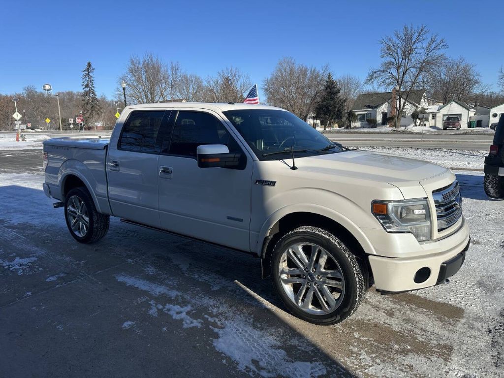 2014 Ford F-150 Image 4