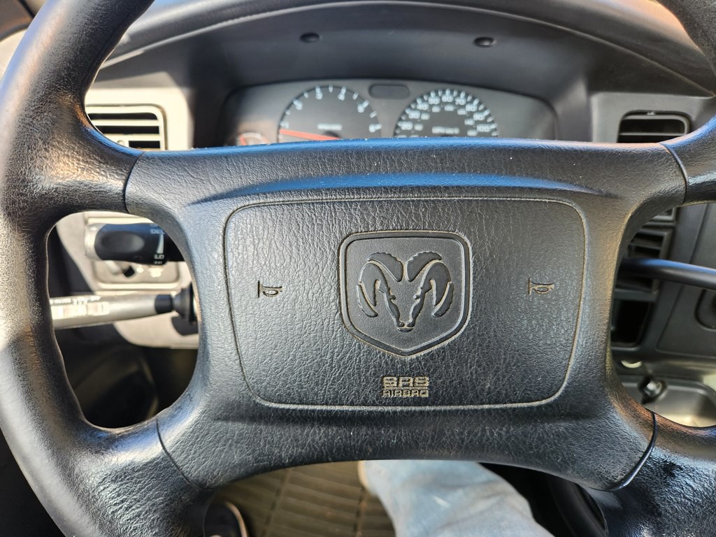 2003 Dodge Dakota Image 13