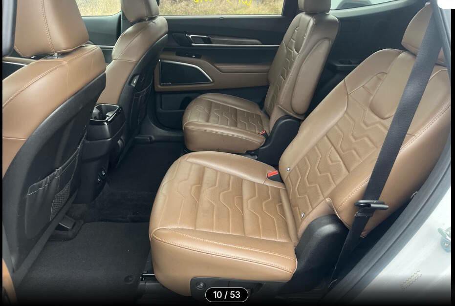 2020 Kia Telluride Image 6