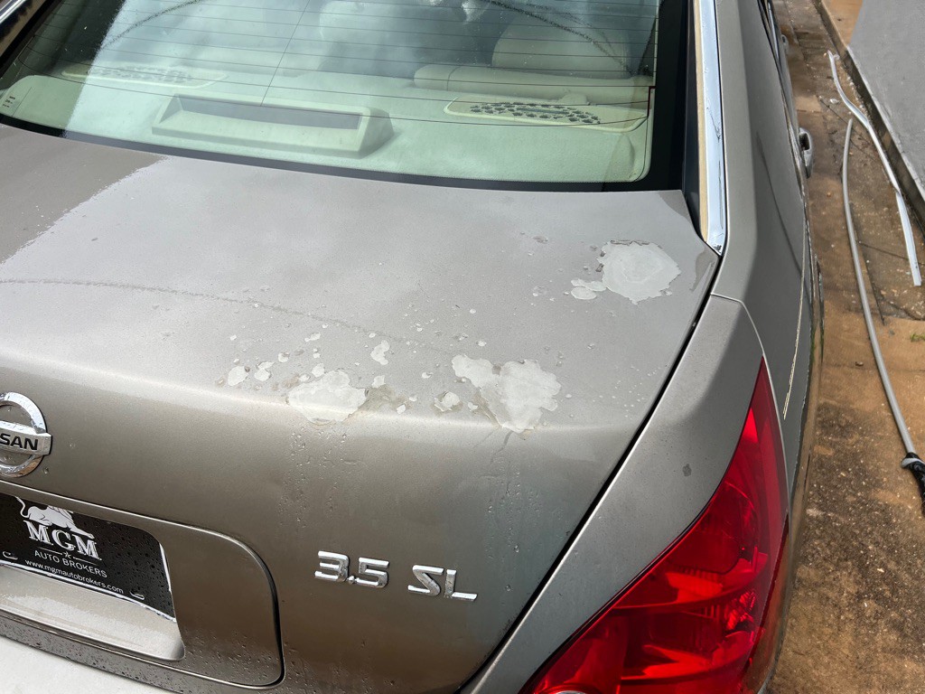 2004 Nissan Maxima Image 11