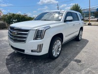 Image for 2018 Cadillac Escalade Platinum ID: 6757556