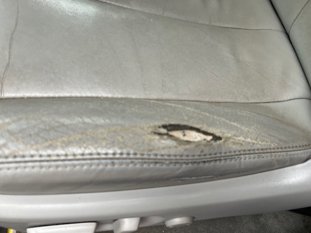 2014 Toyota Sienna Image 6