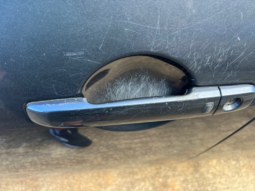 2010 INFINITI G37 Image 4