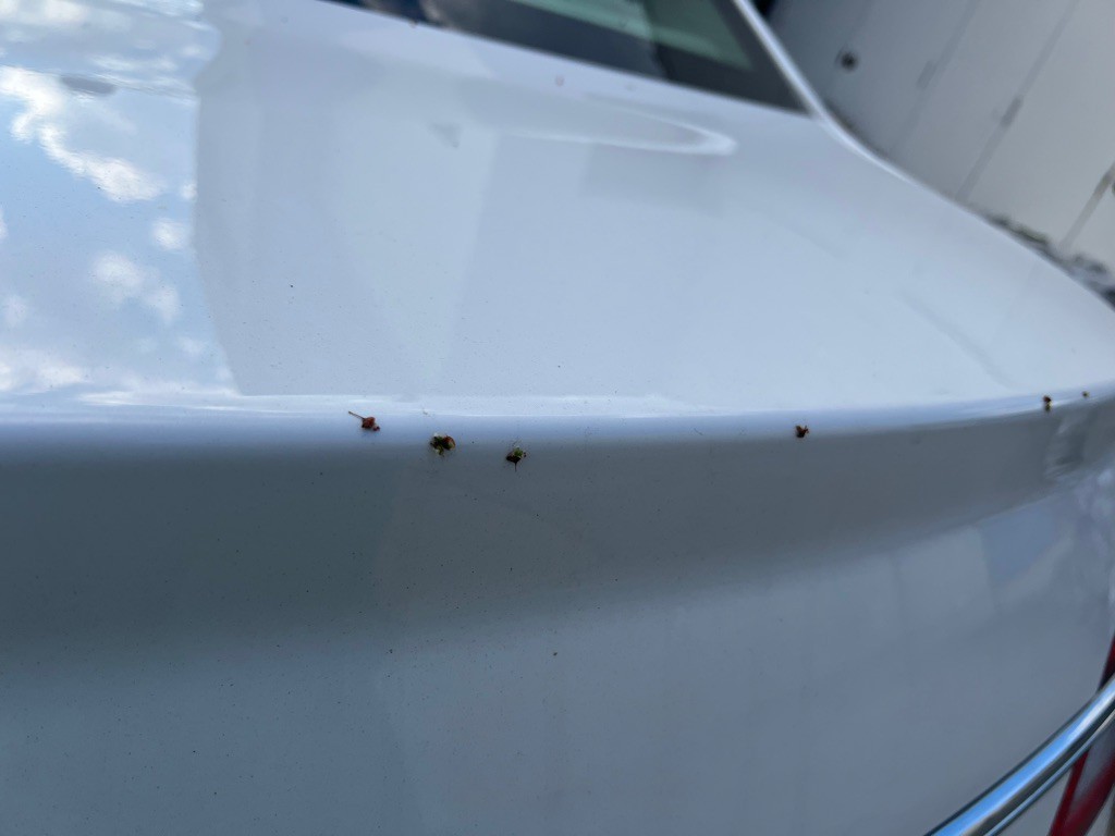 2018 Ford Taurus Image 9