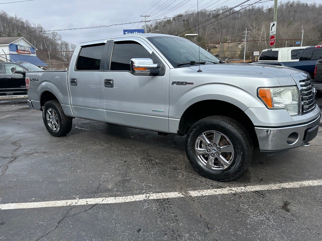 2011 Ford F-150 Image 3