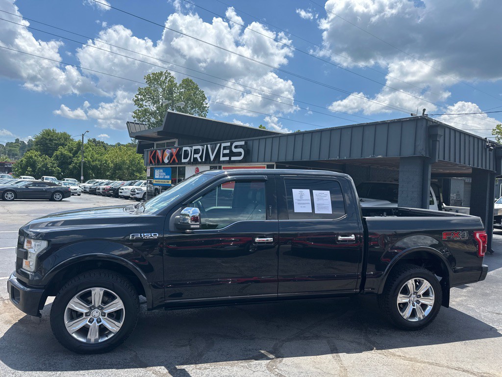 2015 Ford F-150 Image 2
