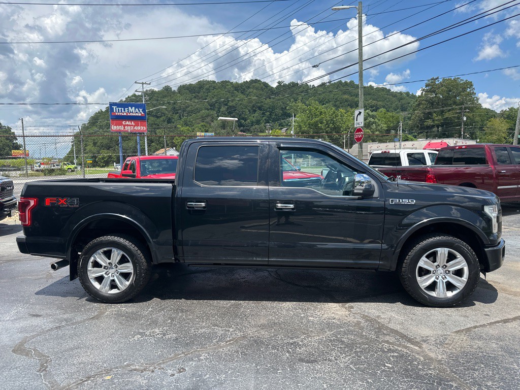 2015 Ford F-150 Image 5