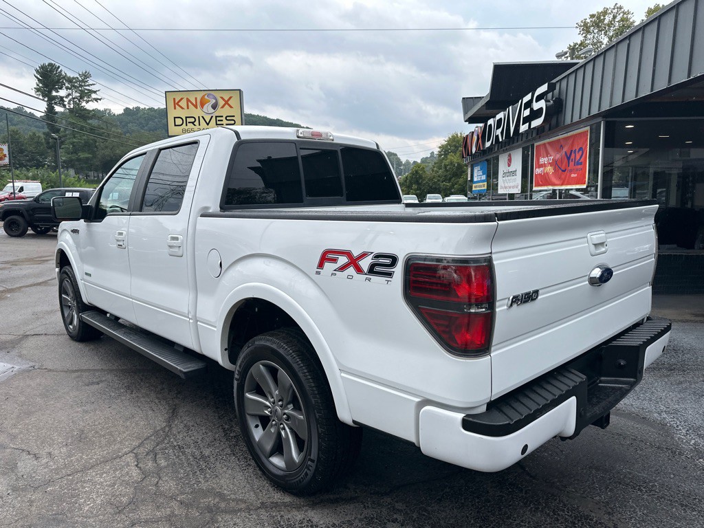 2013 Ford F-150 Image 2
