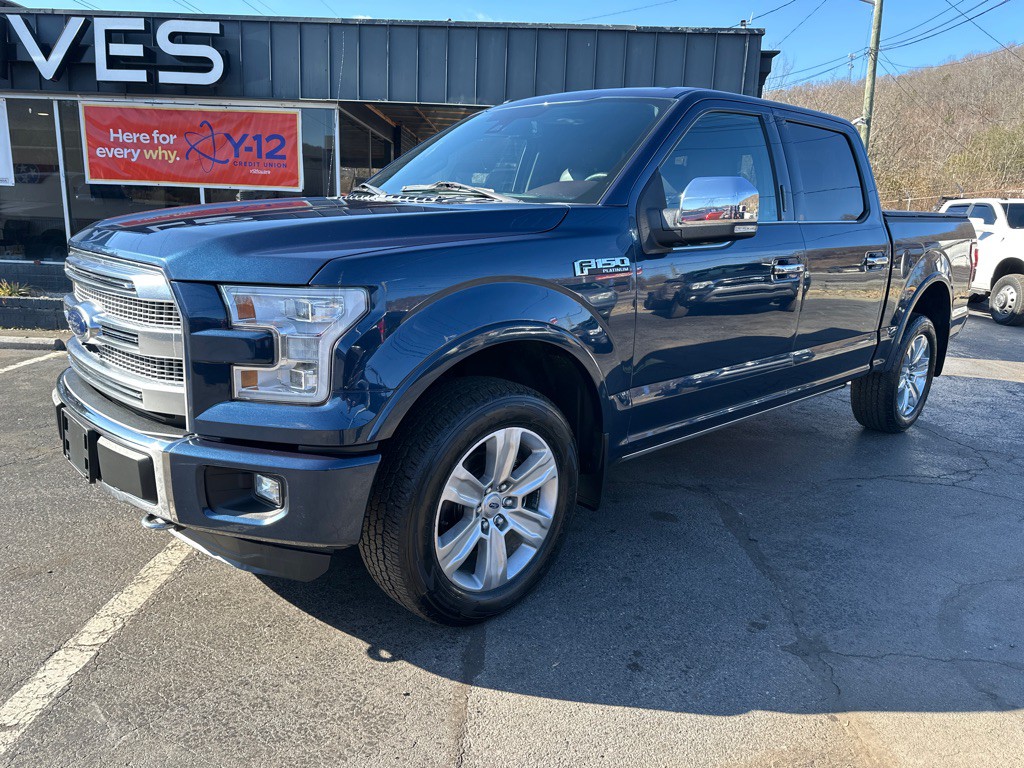 2016 Ford F-150 Image 1