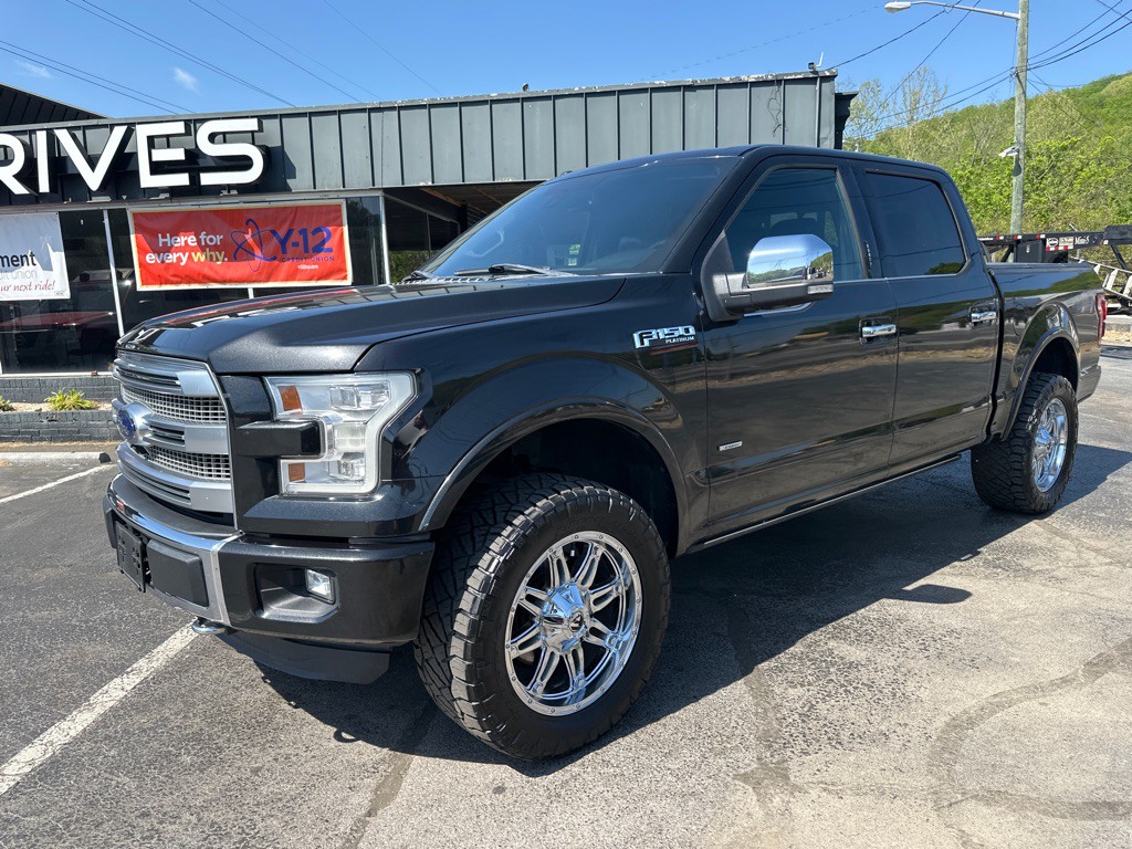 2015 Ford F-150 Image 1