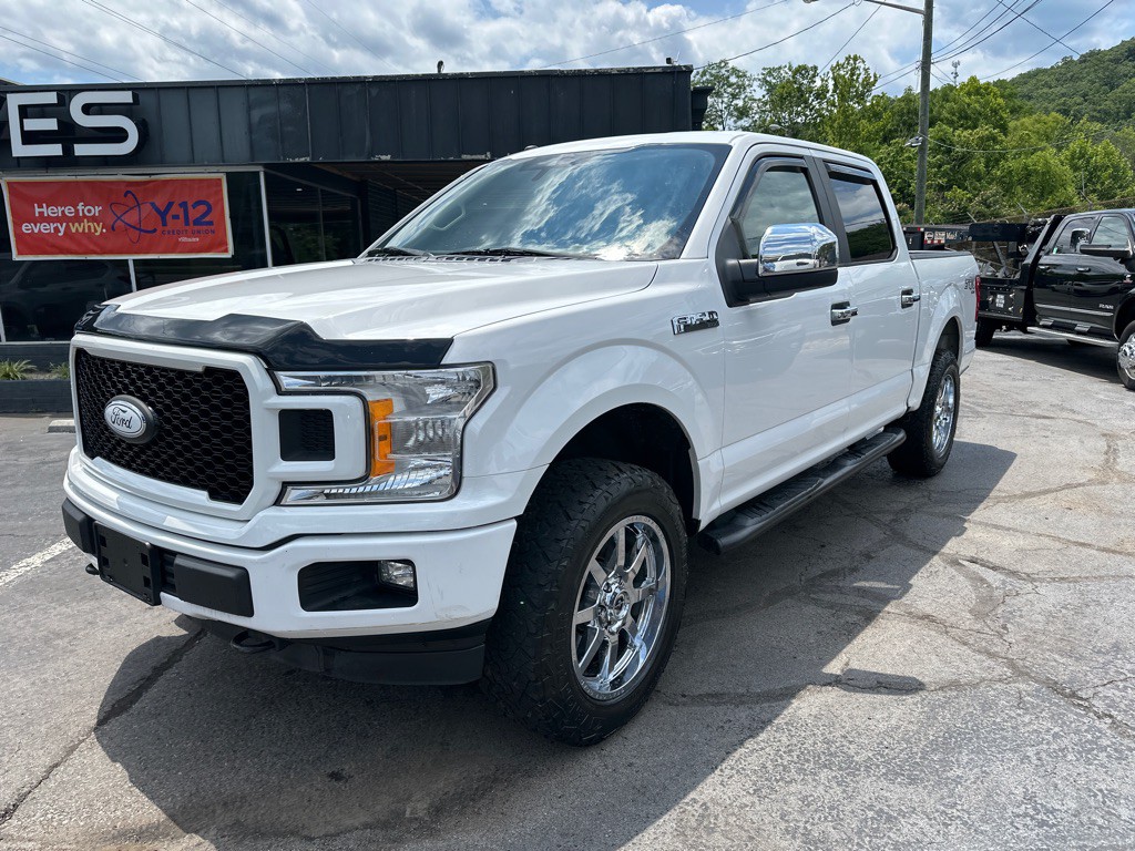 2019 Ford F-150 Image 1