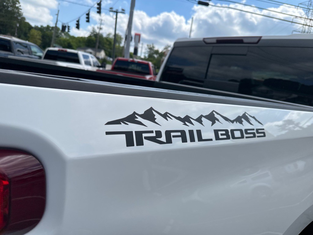 2020 Chevrolet Silverado 1500 Image 13