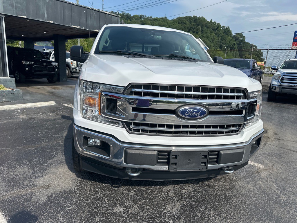 2019 Ford F-150 Image 6