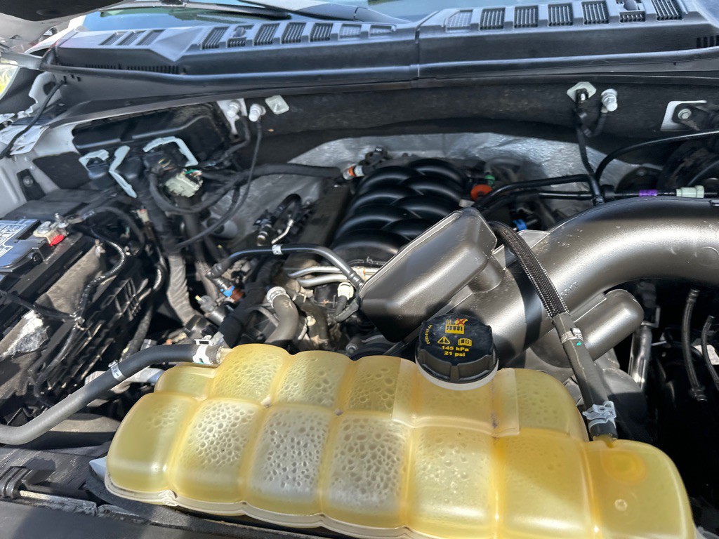 2019 Ford F-150 Image 19